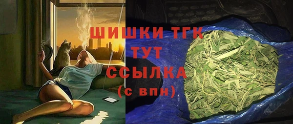 шишки Верея